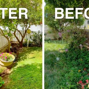 Transforming Your Backyard Into A Paradise: A Step-By-Step Garden Makeover Guide In New Jersey